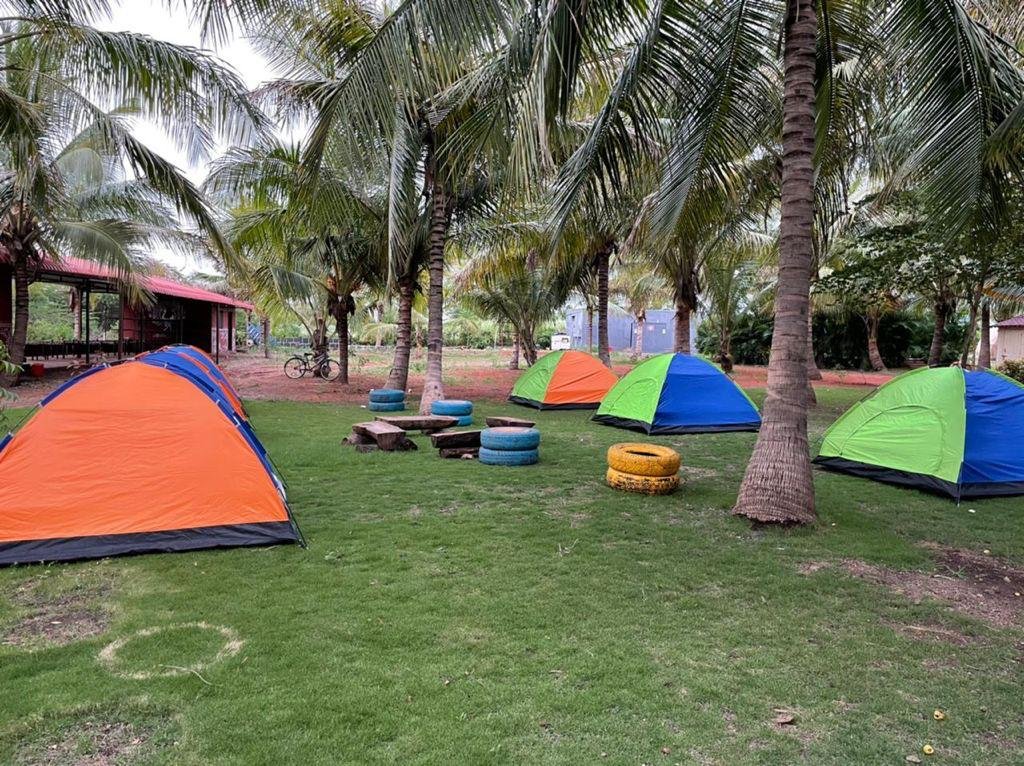 Corporate picnic near Pune at NatureNestt Agro Tourism